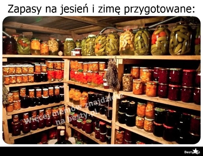 
    Zapasy 