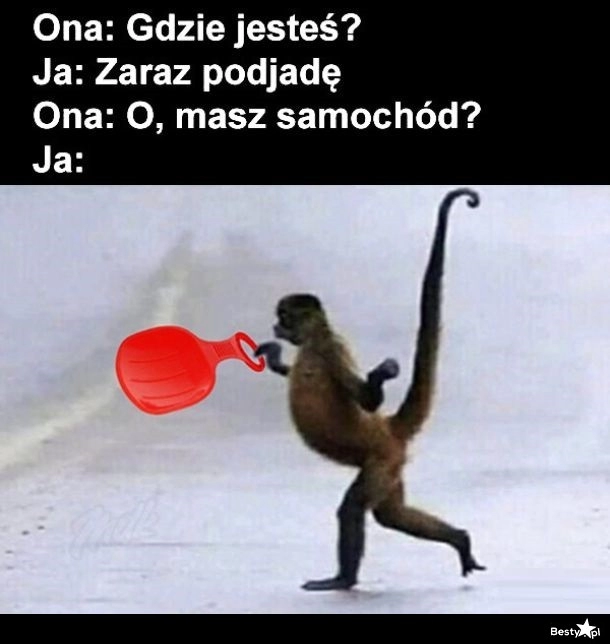 
    Żaden tam samochód 