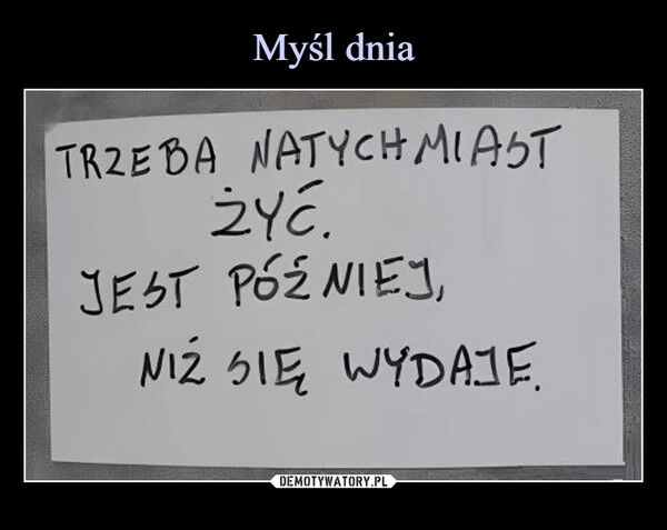 
    Myśl dnia