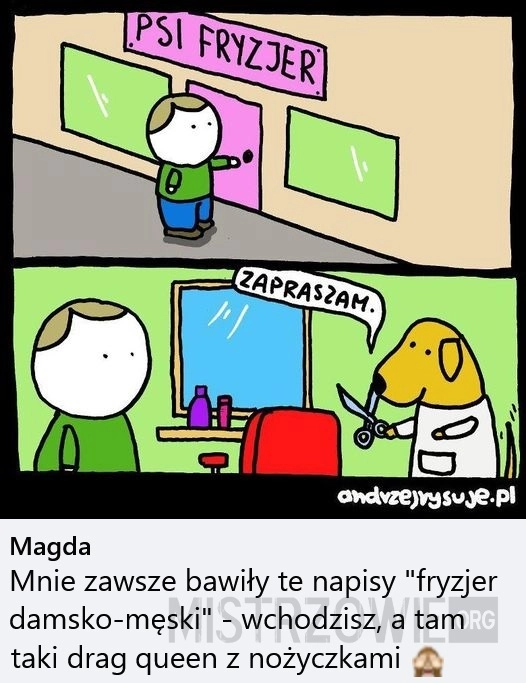 
    Psi fryzjer