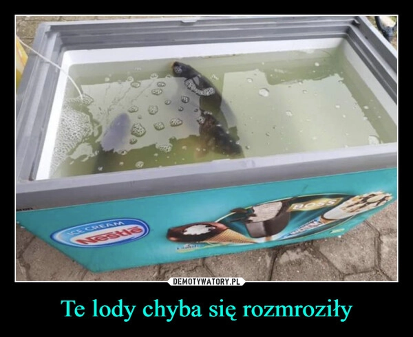 
    Te lody chyba się rozmroziły