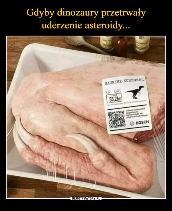 
    Gdyby dinozaury przetrwały uderzenie asteroidy...