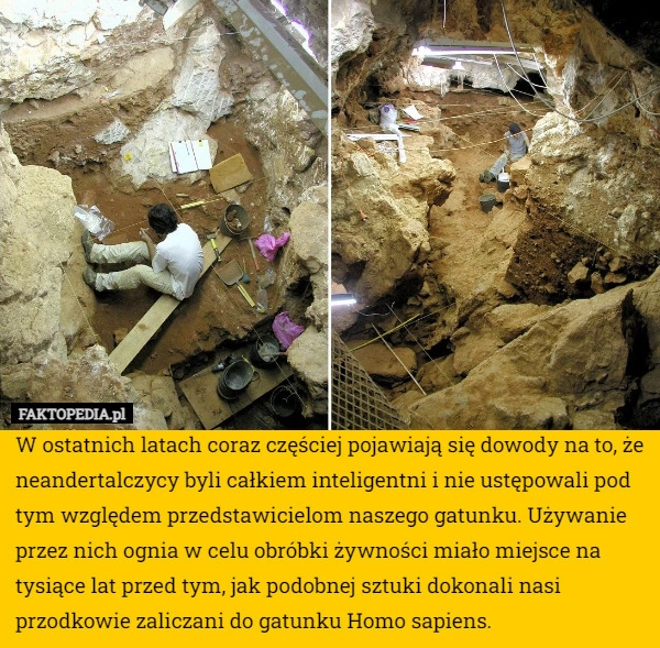 
    W ostatnich latach coraz częściej pojawiają się dowody na to, że neandertalczycy