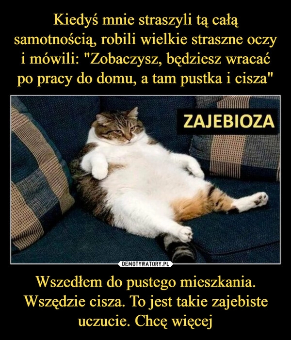 
    Kiedyś mnie straszyli tą całą samotnością, robili wielkie straszne oczy i mówili: "Zobaczysz, będziesz wracać po pracy do domu, a tam pustka i cisza" Wszedłem do pustego mieszkania. Wszędzie cisza. To jest takie zajebiste uczucie. Chcę więcej 