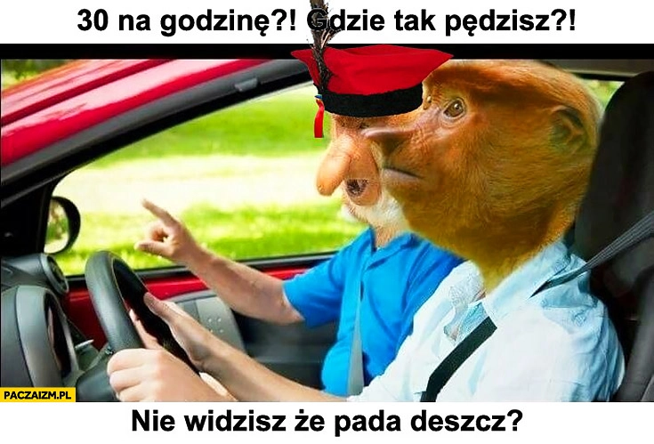 
    30 na godzinę, gdzie Ty tak pędzisz, nie widzisz, że pada deszcz? Krakus typowy Polak nosacz małpa