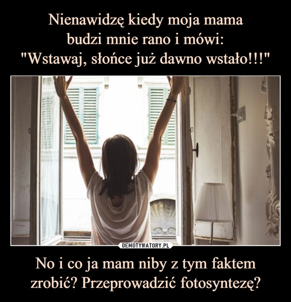 
    Nienawidzę kiedy moja mama
budzi mnie rano i mówi:
"Wstawaj, słońce już dawno wstało!!!" No i co ja mam niby z tym faktem zrobić? Przeprowadzić fotosyntezę?