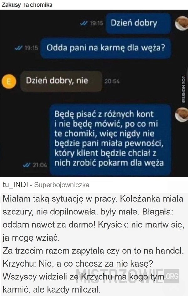 
    Zakusy na chomika