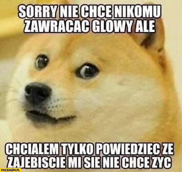 
    Sorry nie chce nikomu zawracać głowy ale chciałem tylko powiedzieć, że zarąbiście mi się nie chce żyć pies pieseł doge