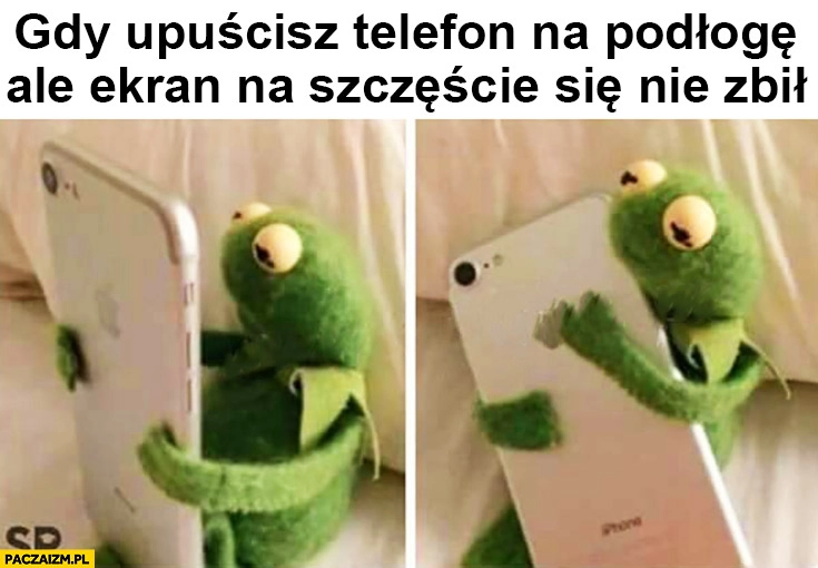 
    Kermit gdy upuścisz telefon na podłogę ale ekran na szczęście się nie zbił przytula ajfona