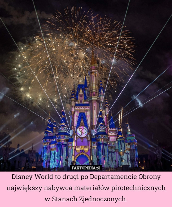 
    Disney World to drugi po Departamencie Obrony największy nabywca materiałów