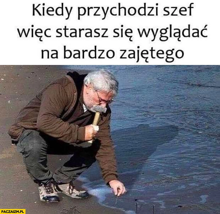 
    Kiedy przychodzi szef wiec starasz się wyglądać na bardzo zajętego wbija gwoździe do morza