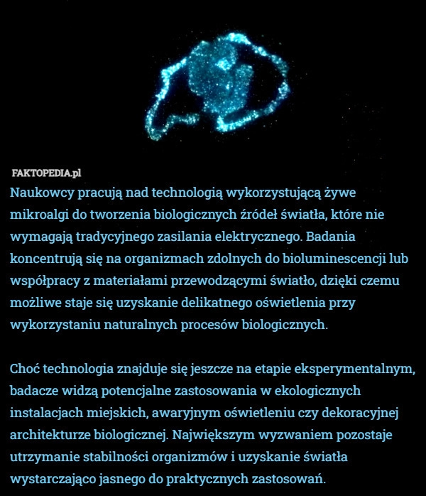 
    Naukowcy pracują nad technologią wykorzystującą żywe mikroalgi do tworzenia