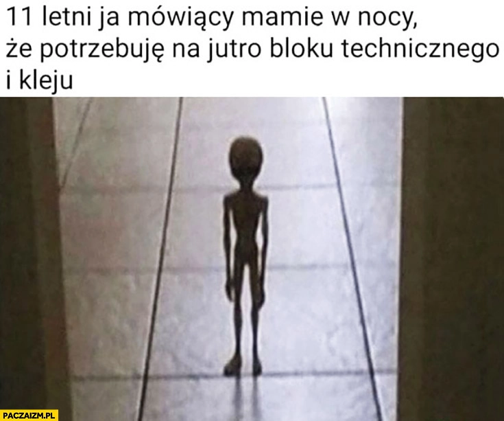 
    11 letni ja mówiący mamie w nocy, że potrzebuję na jutro bloku technicznego i kleju