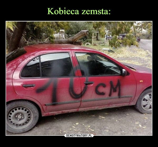 
    Kobieca zemsta: