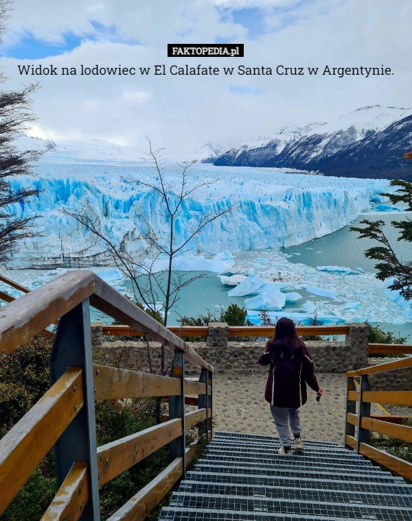 
    Widok na lodowiec w El Calafate w Santa Cruz w Argentynie.