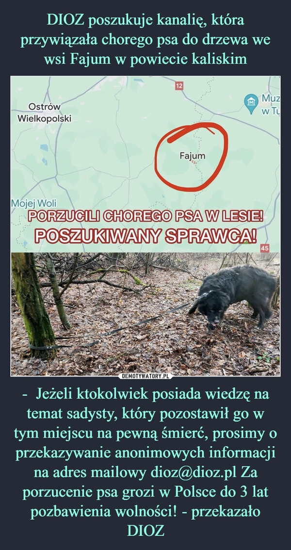 
    DIOZ poszukuje kanalię, która przywiązała chorego psa do drzewa we wsi Fajum w powiecie kaliskim -  Jeżeli ktokolwiek posiada wiedzę na temat sadysty, który pozostawił go w tym miejscu na pewną śmierć, prosimy o przekazywanie anonimowych informacji na adres mailowy dioz@dioz.pl Za porzucenie psa grozi w Polsce do 3 lat pozbawienia wolności! - przekazało DIOZ