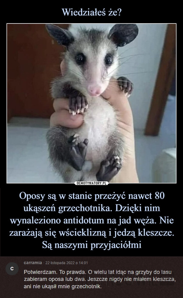 
    
			Oposy					