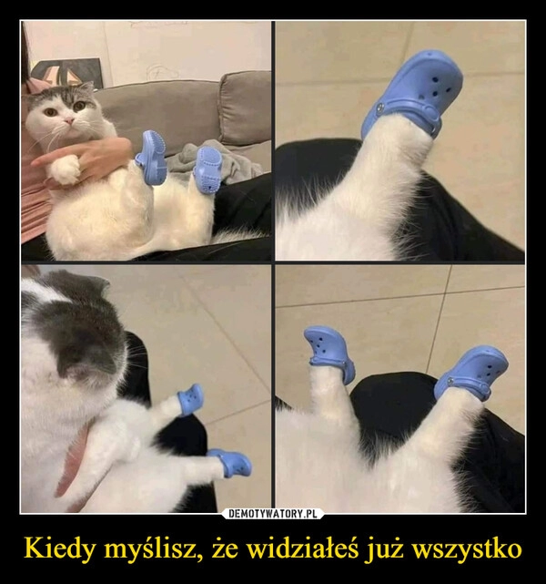 
    Kiedy myślisz, że widziałeś już wszystko 