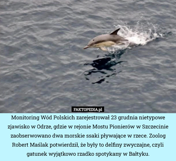 
    Monitoring Wód Polskich zarejestrował 23 grudnia nietypowe zjawisko w Odrze,