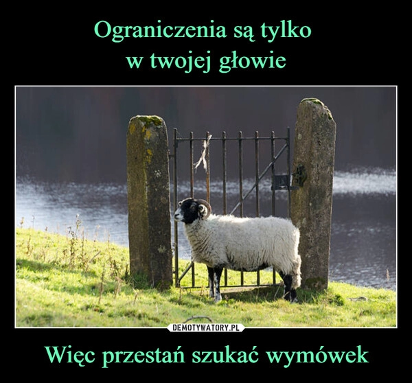 
    Ograniczenia są tylko 
w twojej głowie Więc przestań szukać wymówek