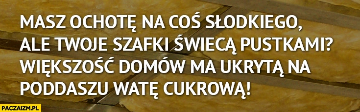 
    Masz ochotę na coś słodkiego ale Twoje szafki świecą pustkami większość domów ma ukryta na poddaszu watę cukrową