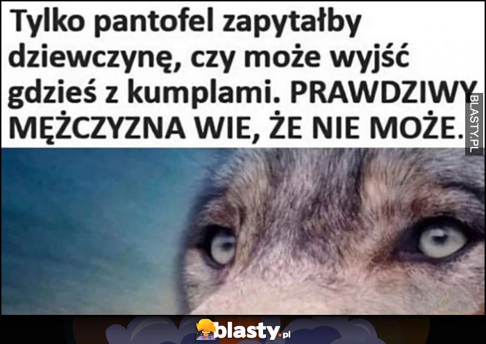 
    Tylko pantofel zapytałby dziewczynę czy może wyjść gdzieś z kumplami, prawdziwy mężczyzna wie, że nie może