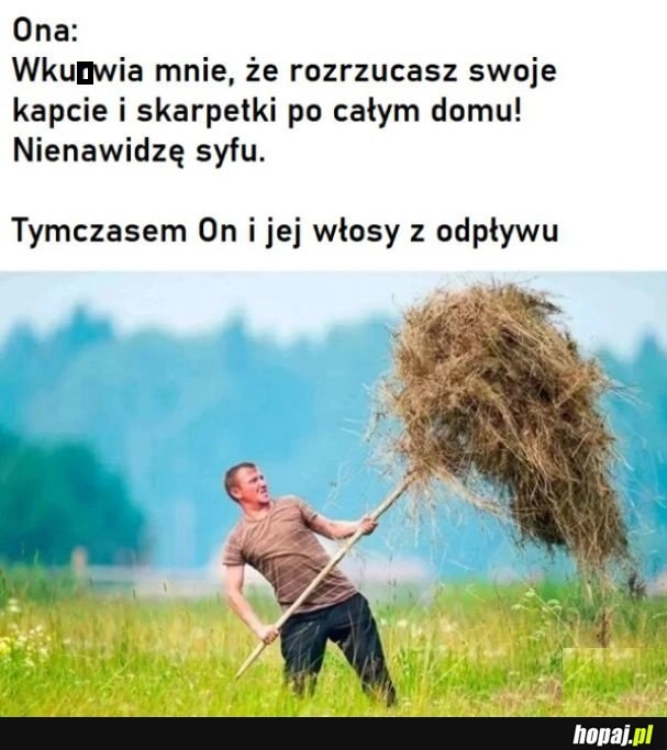 
    Porządki