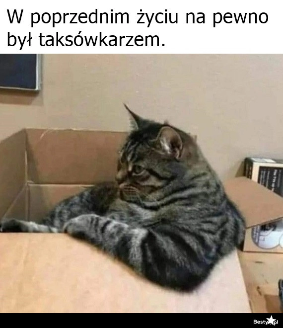 
    Takie przypuszczenie 