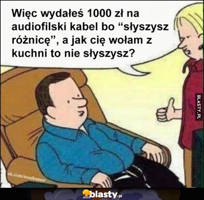 
    Kiedy wydałeś 1000 zł na audiofilski kabel bo słyszysz różnicę a jak cię wołam z kuchni to nie słyszysz?