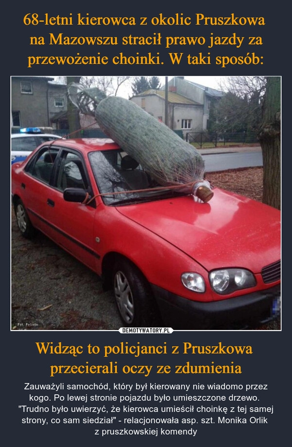 
    68-letni kierowca z okolic Pruszkowa 
na Mazowszu stracił prawo jazdy za przewożenie choinki. W taki sposób: Widząc to policjanci z Pruszkowa 
przecierali oczy ze zdumienia