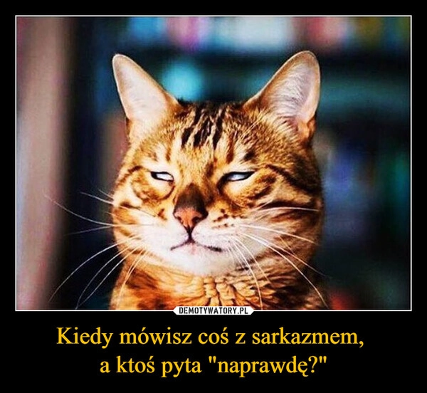 
    Kiedy mówisz coś z sarkazmem, 
a ktoś pyta "naprawdę?"