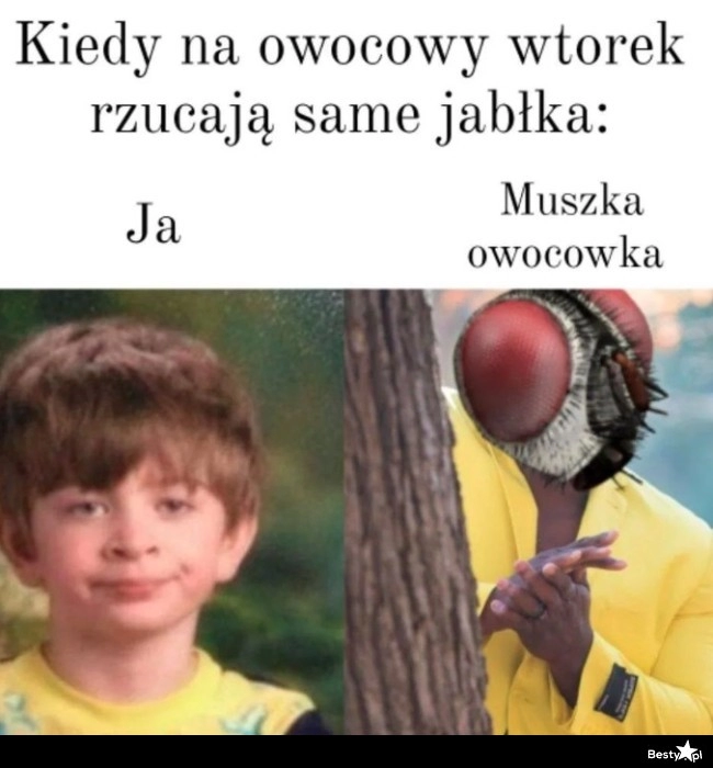 
    Owocowy wtorek 