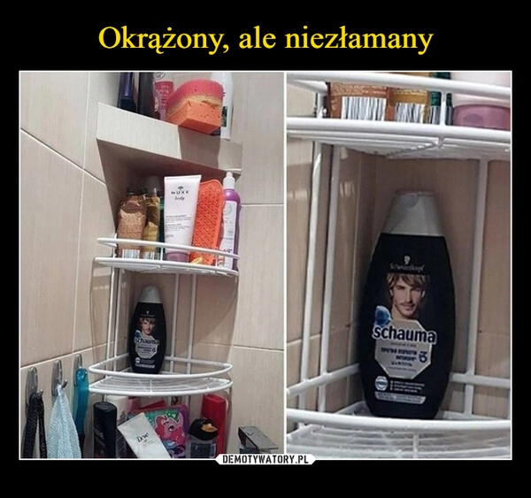 
    Okrążony, ale niezłamany