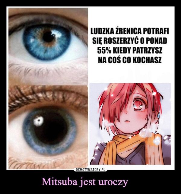 
    Mitsuba jest uroczy 