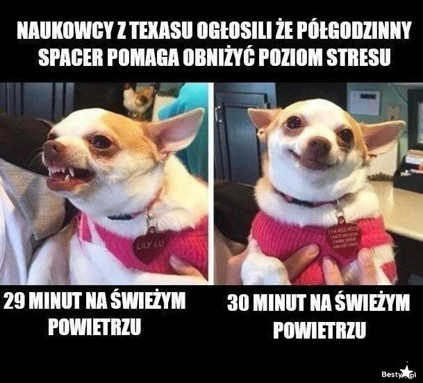 
    Spacer na świeżym powietrzu 