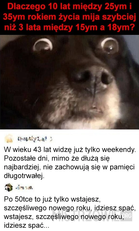 
    Życie takie jest