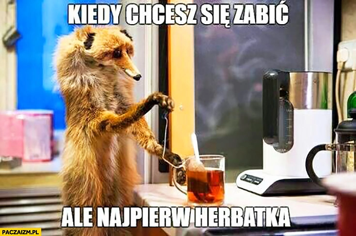 
    Kiedy chcesz się zabić ale najpierw herbatka lis