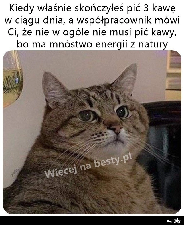 
    Zamilcz, człowieku 