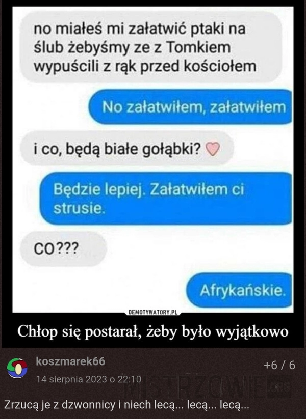 
    Białe gołąbki