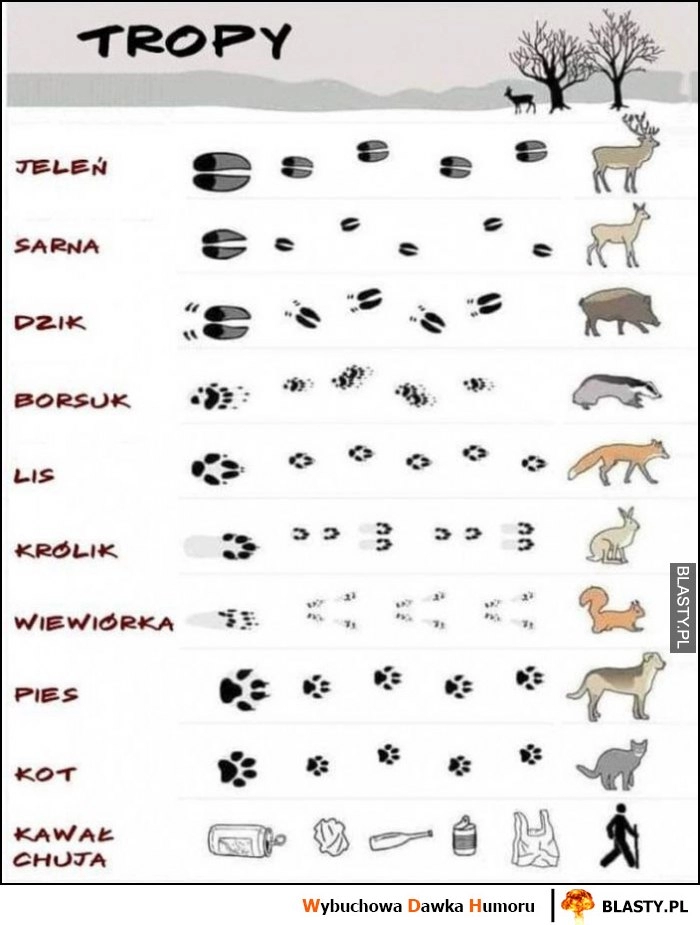 
    Tropy zwierząt vs trop człowieka kawał chama śmieci ślady