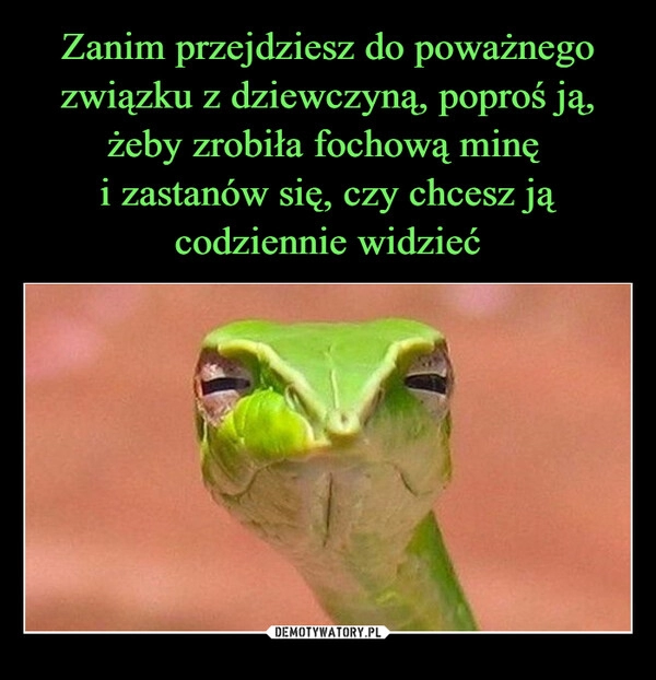 
    Zanim przejdziesz do poważnego związku z dziewczyną, poproś ją, żeby zrobiła fochową minę 
i zastanów się, czy chcesz ją
codziennie widzieć