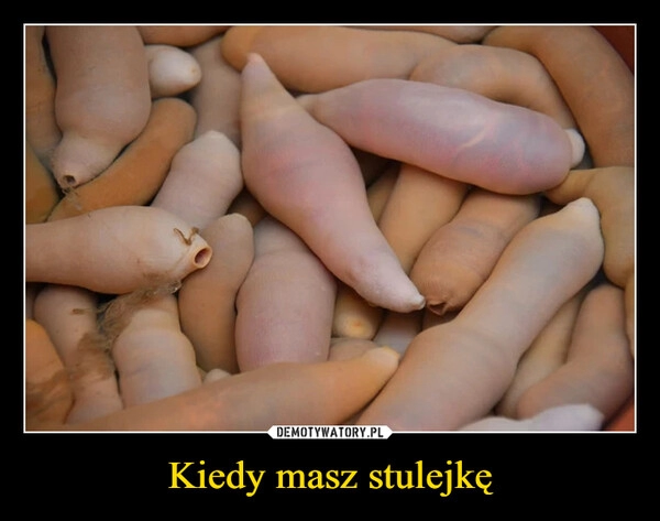 
    Kiedy masz stulejkę