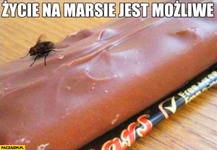 
    Życie na marsie jest możliwe mucha