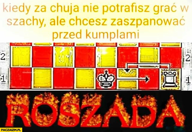 
    Roszada kiedy nie potrafisz grać w szachy ale chcesz zaszpanować przed kumplami