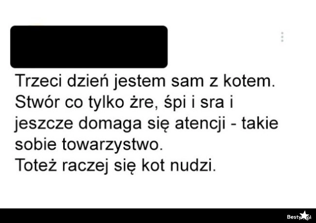 
    Takie sobie towarzystwo 