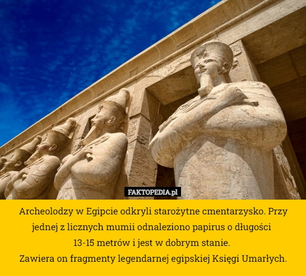 
    Archeolodzy w Egipcie odkryli starożytne cmentarzysko. Przy jednej z licznych