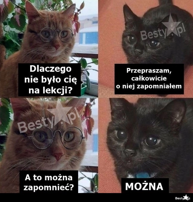 
    Można. 