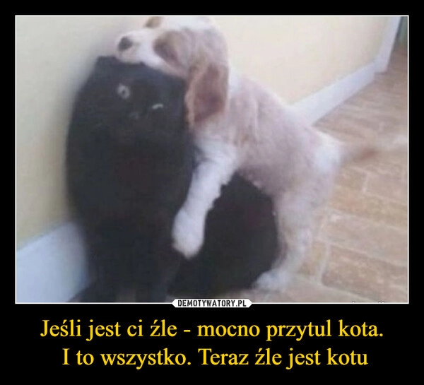 
    Jeśli jest ci źle - mocno przytul kota.
 I to wszystko. Teraz źle jest kotu