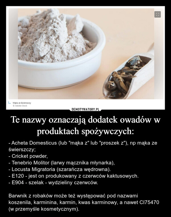 
    Te nazwy oznaczają dodatek owadów w produktach spożywczych: