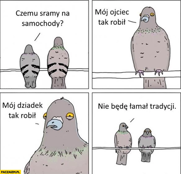 
    Gołębie czemu sramy na samochody? Mój ojciec tak robił, mój dziadek tak robił nie będę łamał tradycji komiks